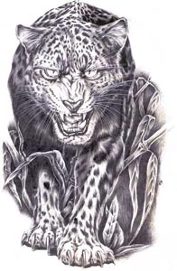 Значение татуировок Leopard